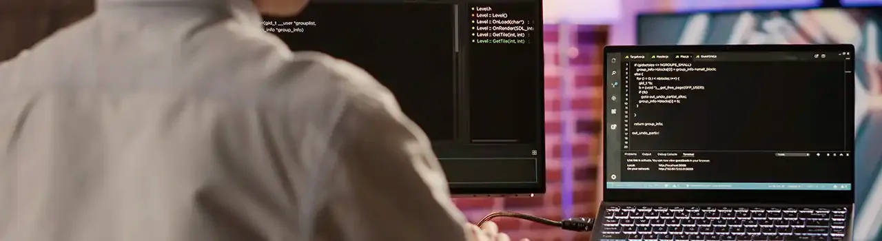 Software Development